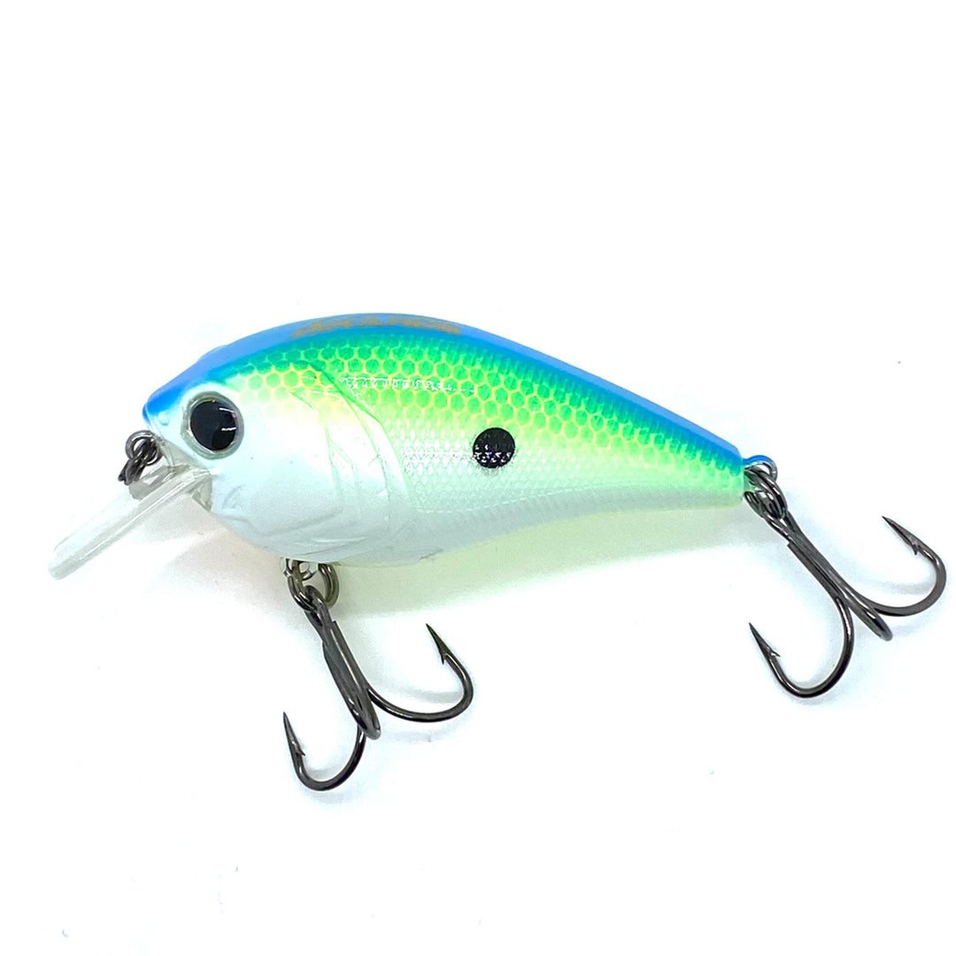 Hunter 1.5 Squarebill