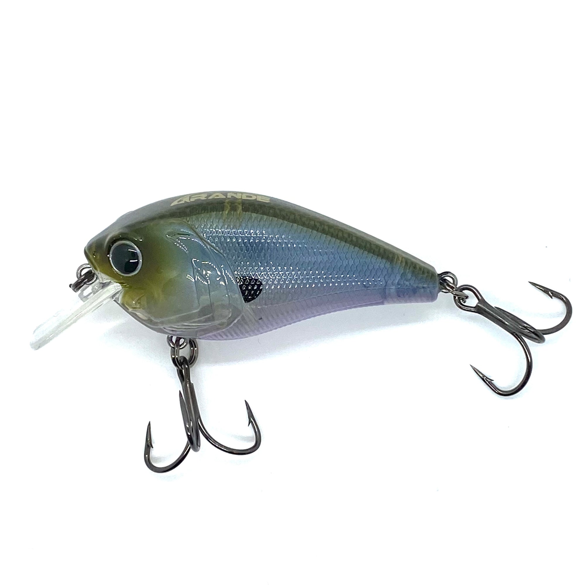 漁師の角度 = THE HUNTERS' ANGLE 71XjeikJQfL._AC_UF350,